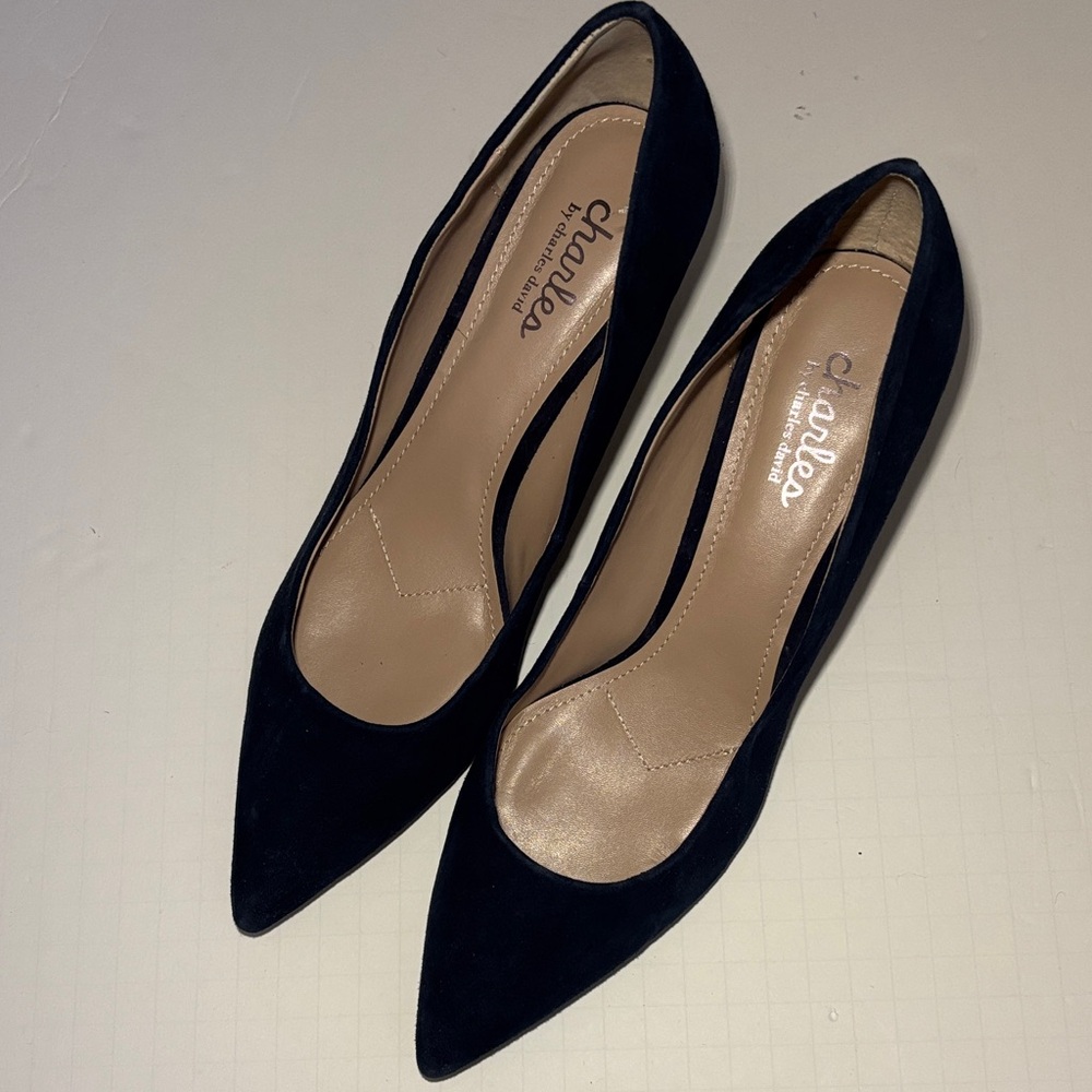 Charles by Charles David Classic Navy Blue Suede Heels